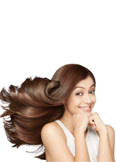 Wholesale Hair Factory,